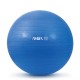 Μπάλα Γυμναστικής AMILA GYMBALL 55cm Bulk