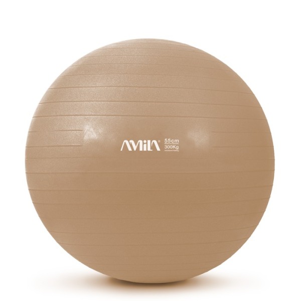 Μπάλα Γυμναστικής AMILA GYMBALL 55cm Bulk