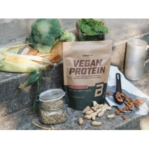 Vegan Protein (500gr) 