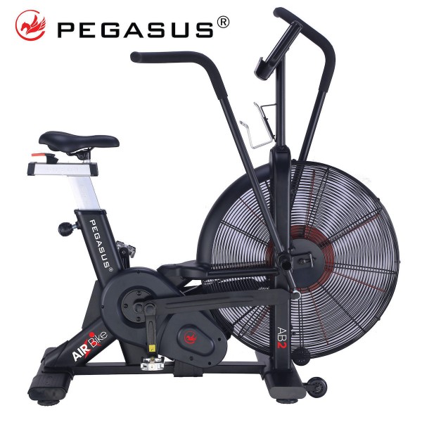 Pegasus® Air Bike AB2