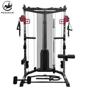 Pegasus® Functional Trainer FT‑100