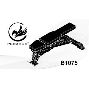 Πάγκος Ρυθμιζόμενος Pegasus® B1075