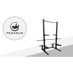 Half Rack Pegasus® HR‑G1