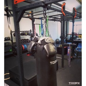 Σάκος πυγμαχίας Boxing Evo (BOT-046) 80cm 20kg TOORX (80cm)