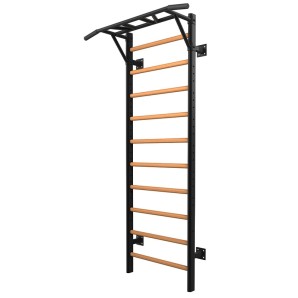 Επαγγελματικό Πολύζυγο Multifunctional Ladder LDX-3000 TOORX