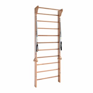 Pilates Wall Ladder