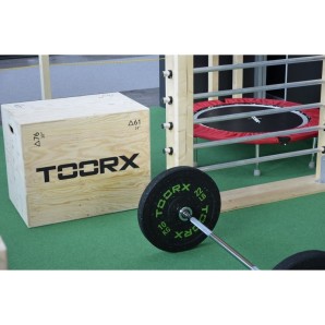 Ολυμπιακός Δίσκος Bumper Crumb 10kg 45cm Toorx