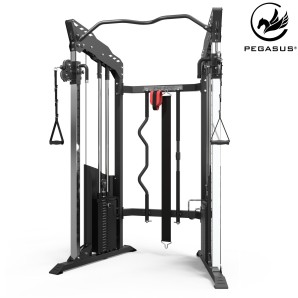 Pegasus® Functional Trainer FM‑500