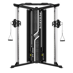 Pegasus® Functional Trainer FT‑300